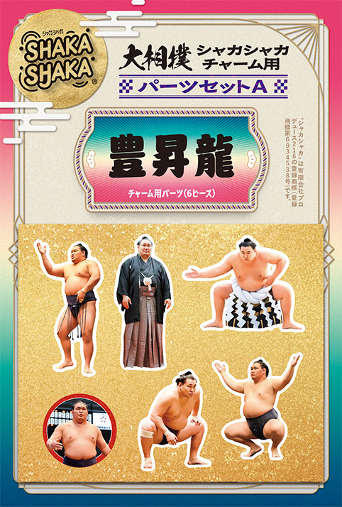 パーツA 豊昇龍